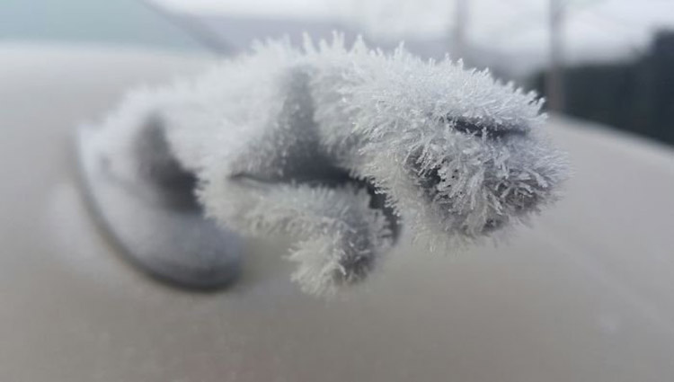 best ever frozen car art