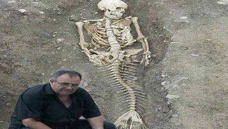 fake pic of skeleton of mermaid?