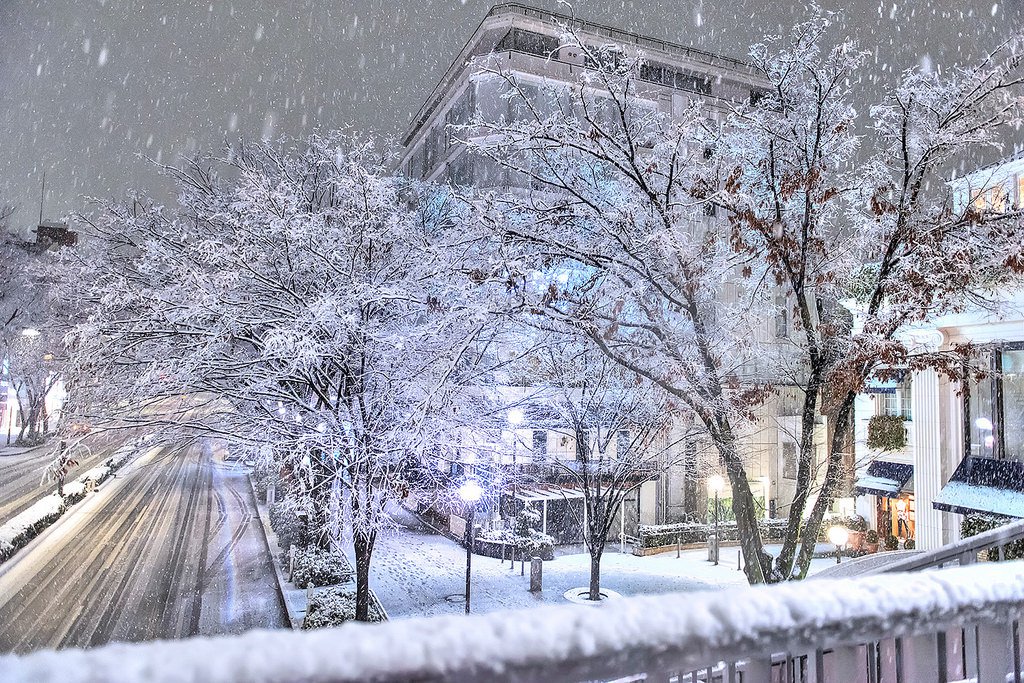 snowfall in Tokyo