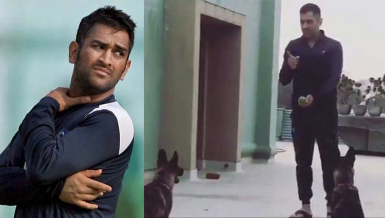 dhoni training his dogs