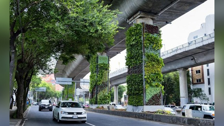 Metro pillars in Garden City Bengaluru might soon have vertical gardens attached to them