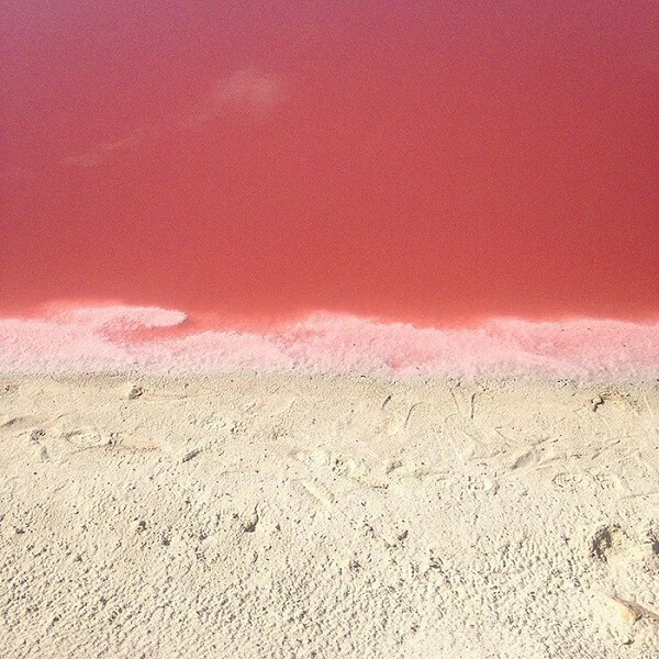 pink sea 