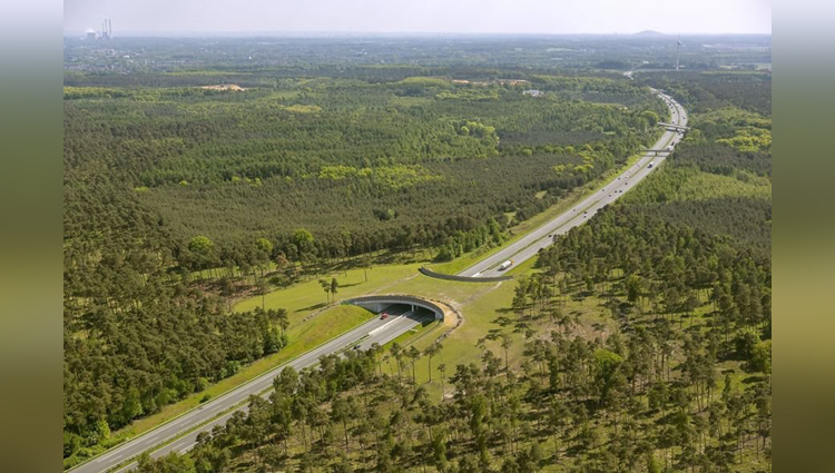 A Green Wildlife Bridge Over An Autobahn In Germany