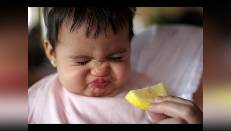 Babies Eating Lemons for the First time