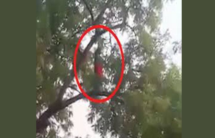 Woman offering Namaz on Tree