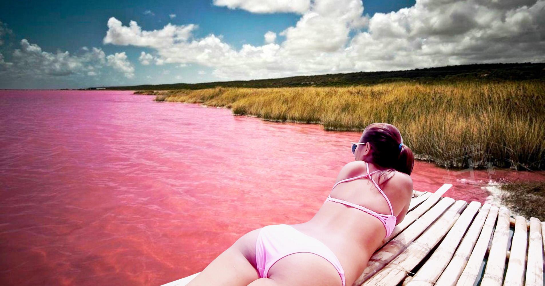 Pink lake of australia