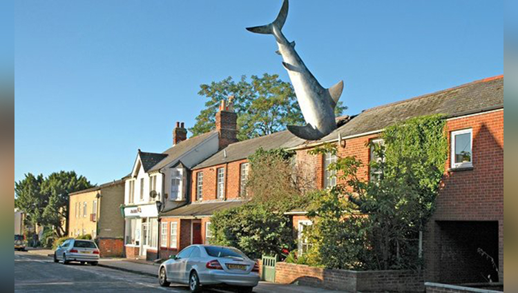 Shark Attack Home, Headington, Oxford