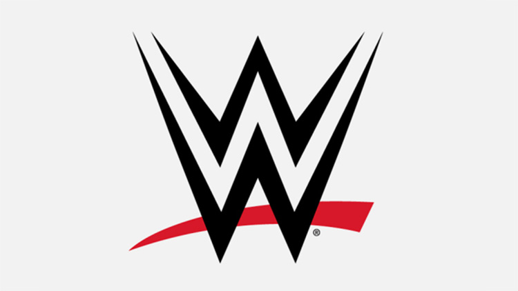 earnings of your favourite wwe star