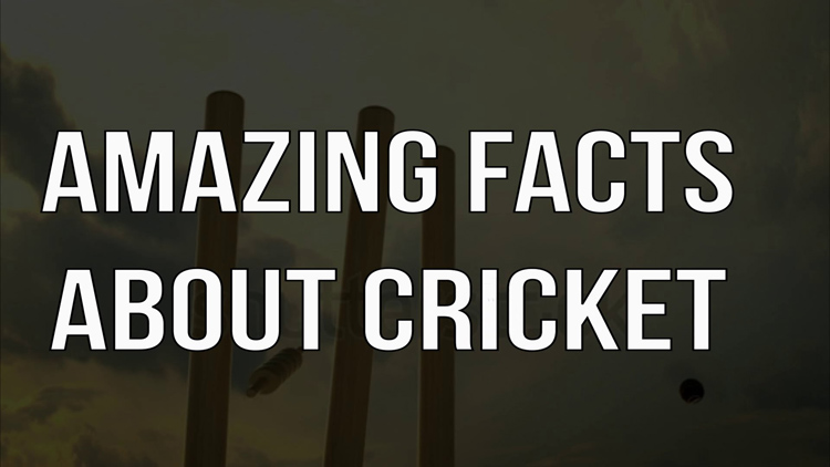 unknown facts about cricket