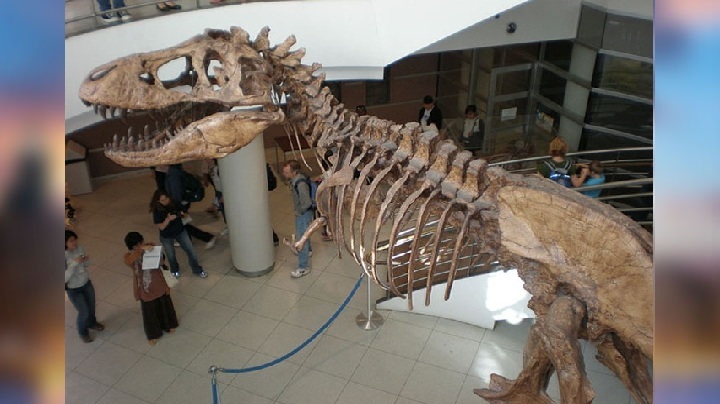 France dinosaur skeleton sold for 9 crore rupees