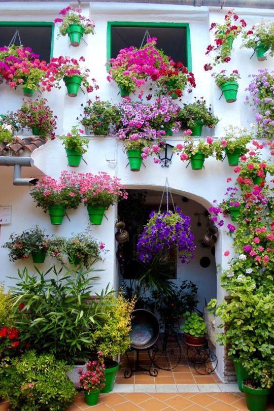 decoration by flowers