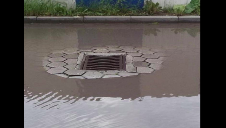 funny drain image