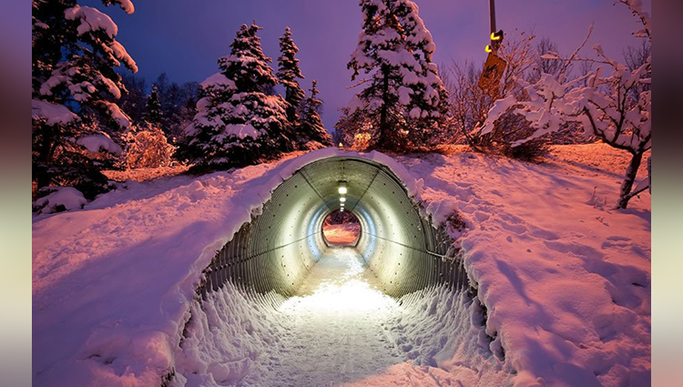 A Tunnel For Animals Under The Highway, Finland
