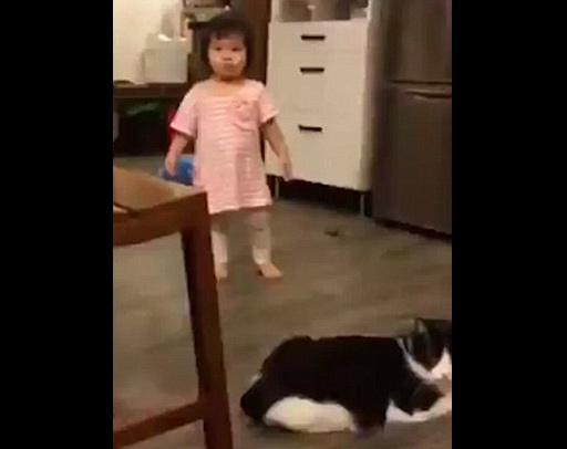 Cat trips baby girl 