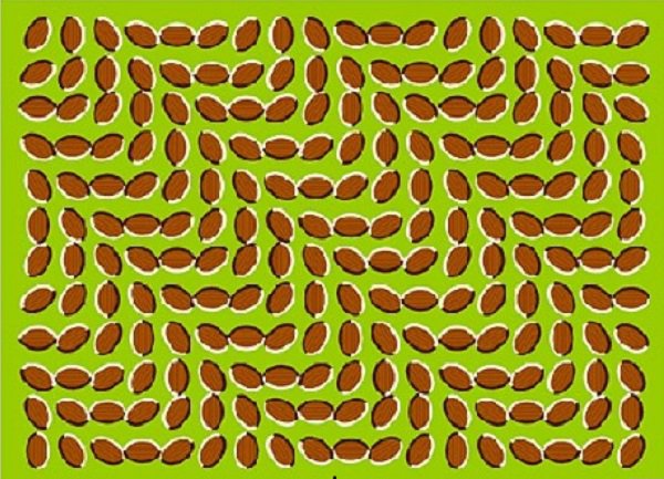 crazy optical illusions