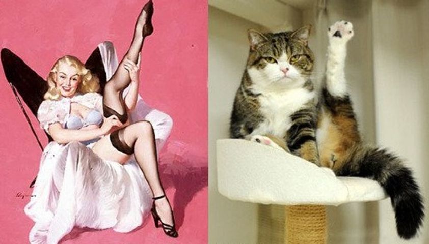 funny pictures of modeling