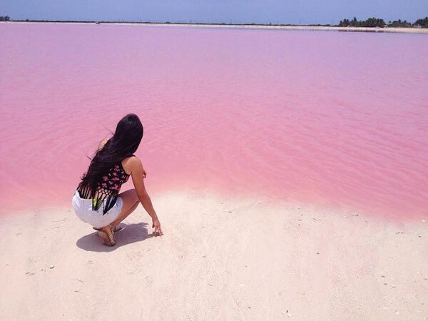 pink sea in mexico