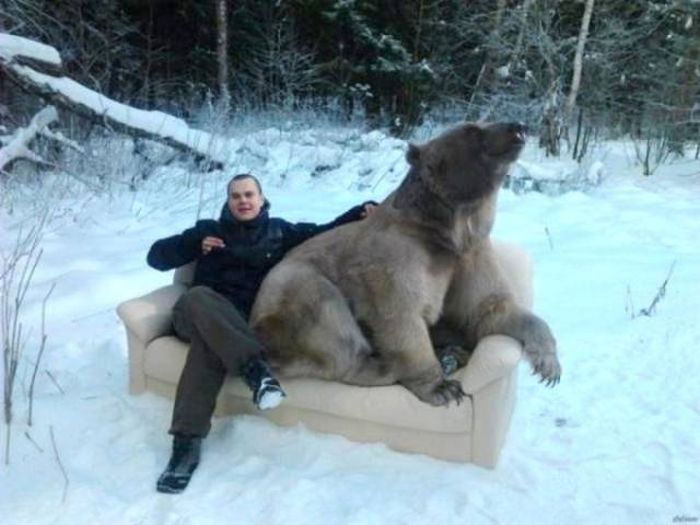 15 funny russian pictures