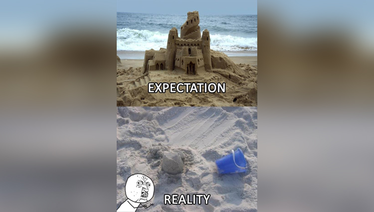 funny pictures of reality vs expectations 