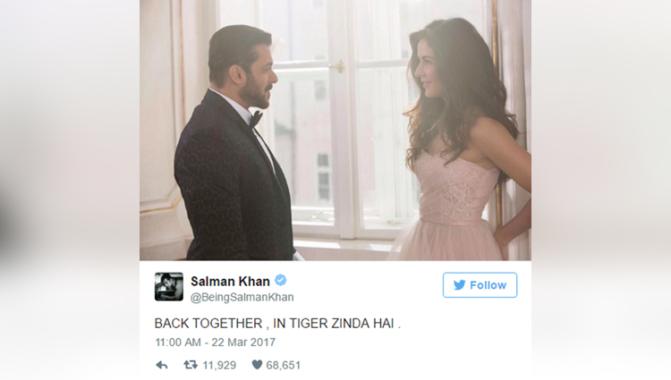 Salman Khan And Katrina Kaif Back Together In Tiger Zinda Hai
