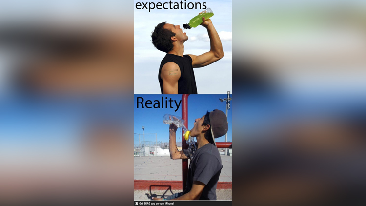 funny pictures of reality vs expectation