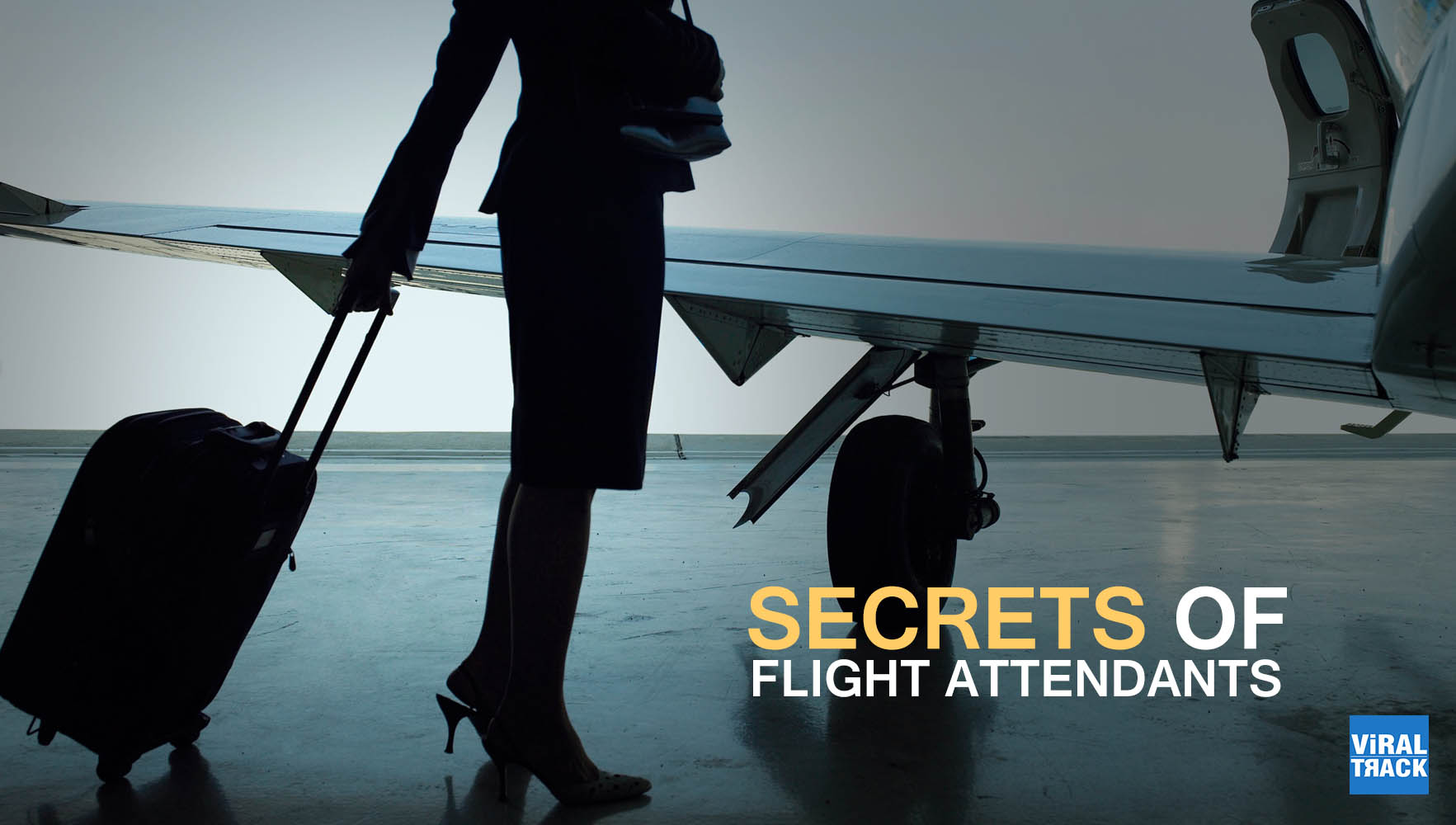secrets of flight attendants
