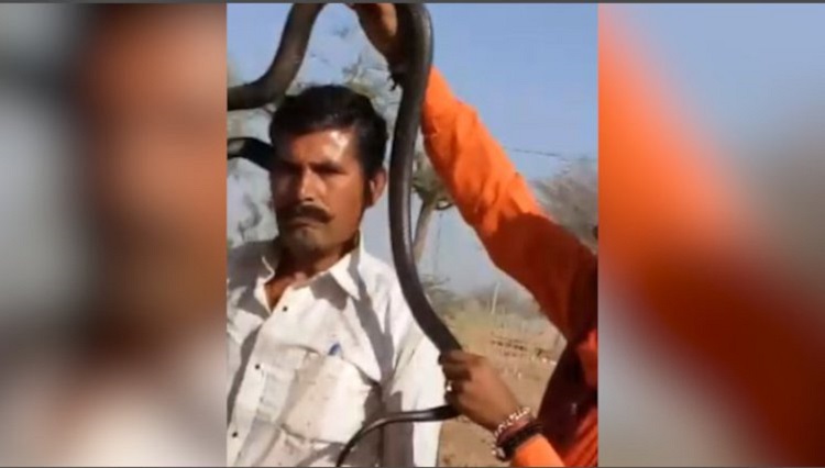 man posing for a photo with a deadly cobra
