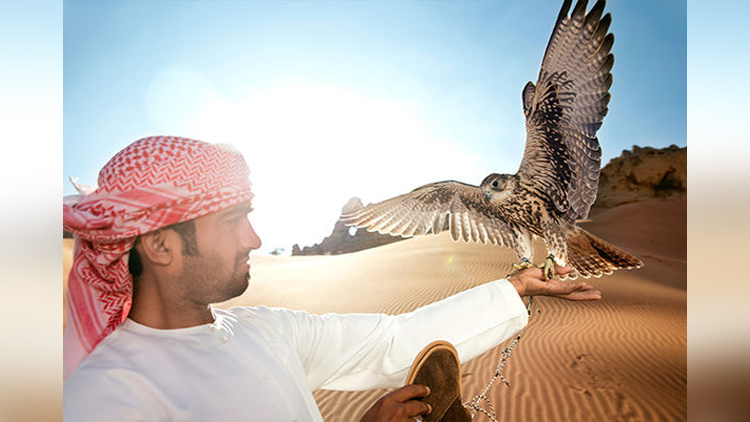 saudi prince with hawk 