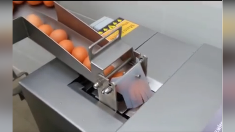 this machine separate eggs video viral