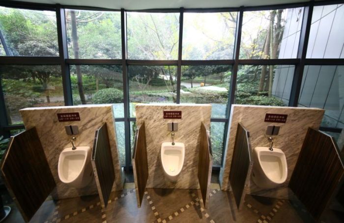 5 star toilets in china