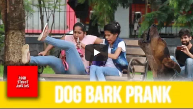 FAKE DOG BARK SCARE PRANK AWESOME REACTIONS PRANKS IN INDIA