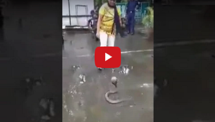 Brave Girl In India Girl catch Snake in india