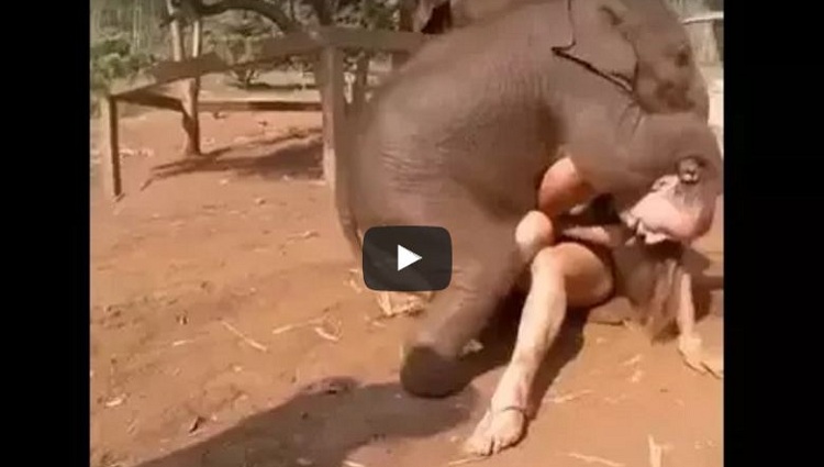 ELEPHANT tries to HAVE fun with WHITE woman