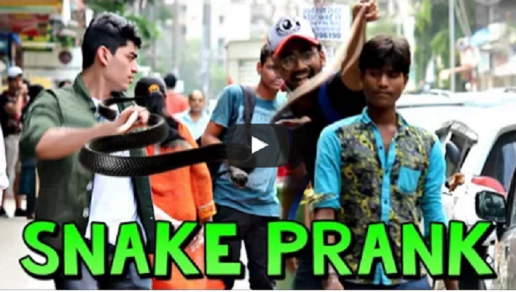 Fake Snake Prank on People Scary Snake Pranks Prank in India