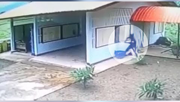 Burglar Climbs In Through Window Of A Garage