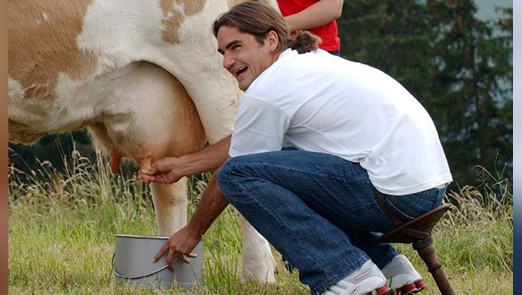 virendra sehwag just tweeted a pic of cow lover roger federer