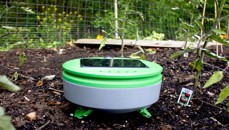 This Small Weeding Robot Will Keep Your Garden Free From Weeds