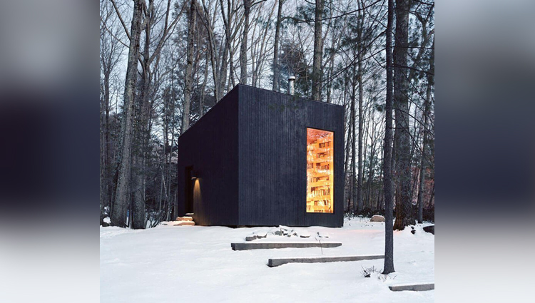 studio padron creates secluded library in the woods of new york state