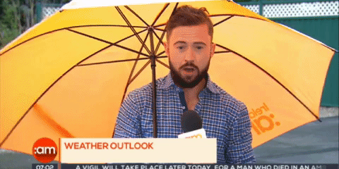 weather presenter literally get blown away during his live report 