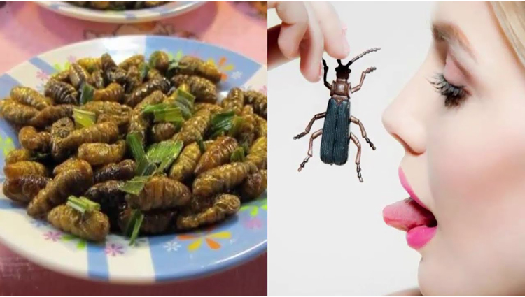 a girl like to eat insects
