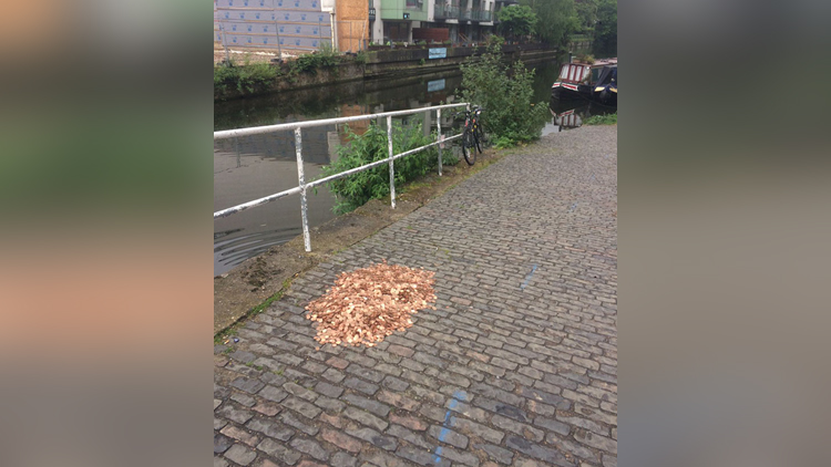 Artist Leaves 15000 Coins On Ground In London To See How People react