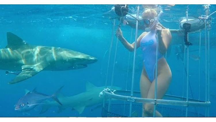 Shark Attack Cam Girl Bitten off Florida Coast