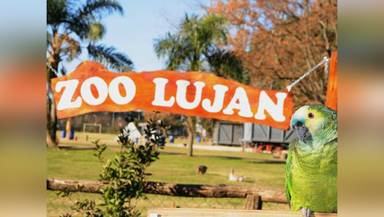 worlds most dangerous zoo lujan zoo in argentina