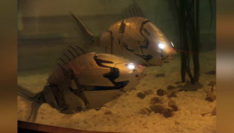South Korea made the most string robotic fish