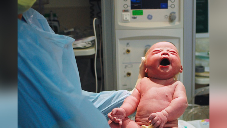 Unbelievable! A newly born just after birth started walking