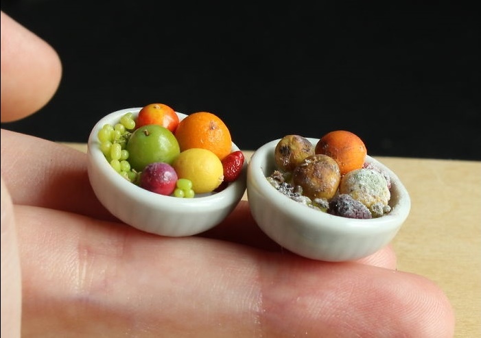 miniature food series