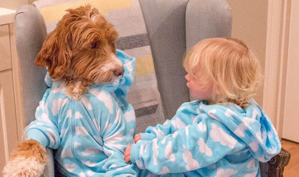  Reagan dog upload his pictures with his human best friend