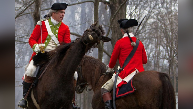 horse photobomb