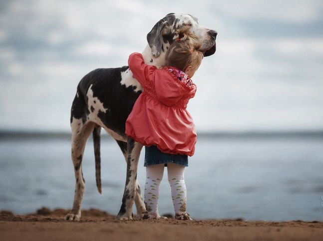 viral pictures of Little Kids and Their Big Dogs