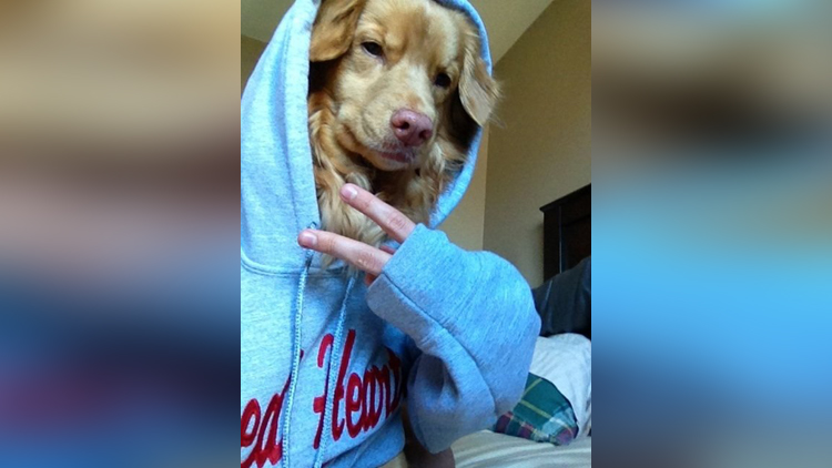 doggy under hoody selfie